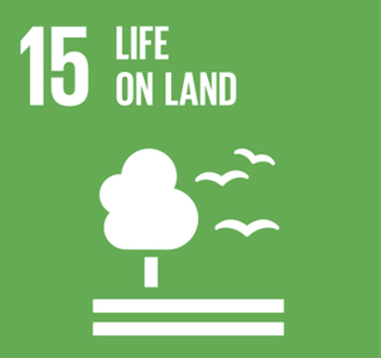 lifeonland-15a.jpg